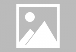 无意鸟漫画,描绘日常生活的趣味与温情