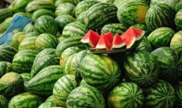 天津4s吃瓜爆料视频,揭秘汽车销售内幕